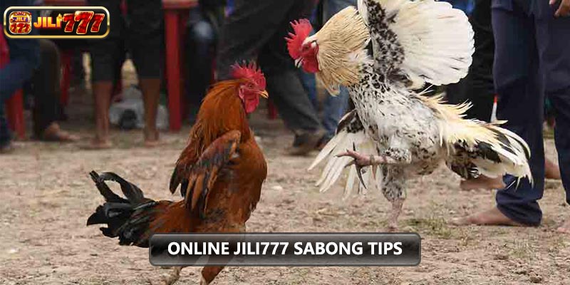 Online Jili777 Sabong Tips